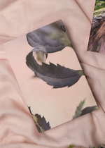 Lataa kuva Galleria-katseluun, Metsän aika - muistikirja