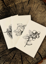 Lataa kuva Galleria-katseluun, Metsän aika - muistivihot