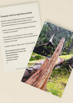 Lataa kuva Galleria-katseluun, Metsän aika - inspiraatiokortit