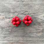 Lataa kuva Galleria-katseluun, IsoTerttu-korvakorut | useita värejä