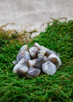 Lataa kuva Galleria-katseluun, Ruskea/harmaa akaatti