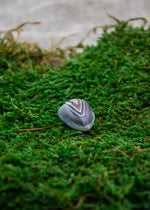 Lataa kuva Galleria-katseluun, Ruskea/harmaa akaatti