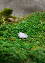 Lataa kuva Galleria-katseluun, Vaaleanpunainen akaatti