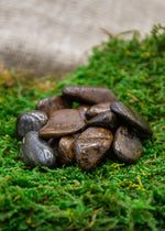 Lataa kuva Galleria-katseluun, Bronziitti