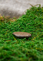 Lataa kuva Galleria-katseluun, Bronziitti