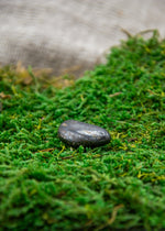 Lataa kuva Galleria-katseluun, Bronziitti