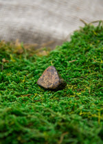 Lataa kuva Galleria-katseluun, Bronziitti