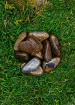 Lataa kuva Galleria-katseluun, Bronziitti