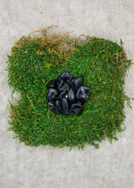 Lataa kuva Galleria-katseluun, Haukansilmä