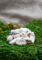 Lataa kuva Galleria-katseluun, Howliitti