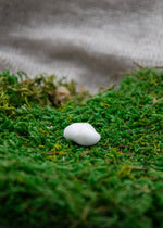 Lataa kuva Galleria-katseluun, Howliitti