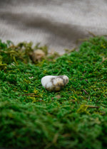 Lataa kuva Galleria-katseluun, Howliitti