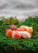 Lataa kuva Galleria-katseluun, Karneoli