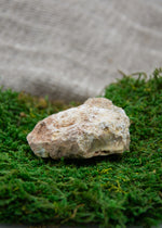 Lataa kuva Galleria-katseluun, Hiomaton karneoli