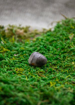 Lataa kuva Galleria-katseluun, Lepidoliitti