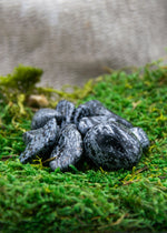 Lataa kuva Galleria-katseluun, Lumihiutale obsidiaani