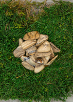 Lataa kuva Galleria-katseluun, Maisemajaspis