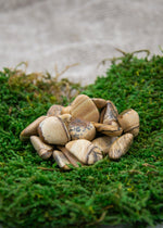 Lataa kuva Galleria-katseluun, Maisemajaspis