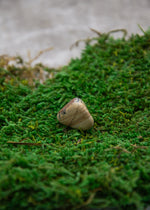 Lataa kuva Galleria-katseluun, Maisemajaspis