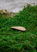 Lataa kuva Galleria-katseluun, Maisemajaspis