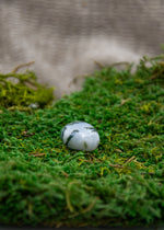 Lataa kuva Galleria-katseluun, Puuakaatti