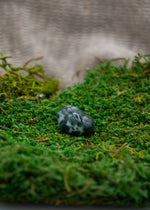 Lataa kuva Galleria-katseluun, Puuakaatti