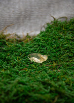 Lataa kuva Galleria-katseluun, Sitriini