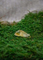 Lataa kuva Galleria-katseluun, Sitriini