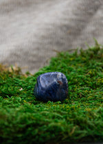 Lataa kuva Galleria-katseluun, Sodaliitti