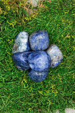 Lataa kuva Galleria-katseluun, Sodaliitti