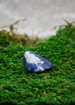 Lataa kuva Galleria-katseluun, Sodaliitti