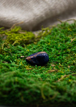 Lataa kuva Galleria-katseluun, Sodaliitti