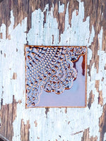 Lataa kuva Galleria-katseluun, Kakku-laatta | Kiiltävä, useita värejä