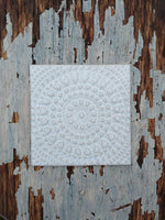 Lataa kuva Galleria-katseluun, Siemen-laatta | Kiiltävä, useita värejä