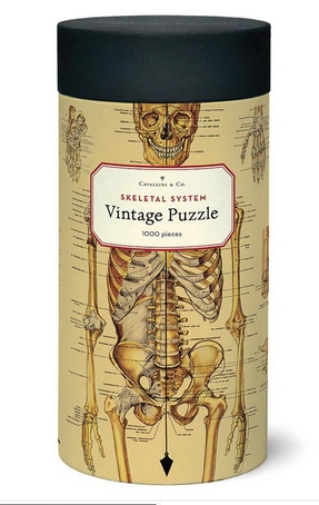 Skeletal System - Palapeli