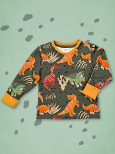 Lasten luomupuuvillainen paita dinosauruskuosilla. Valmistettu rakkaudella Suomessa!